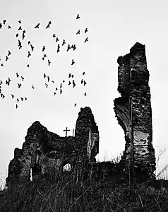 Buciuleşti Monastery ruins