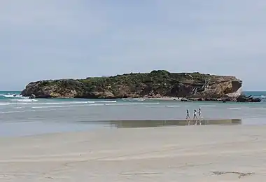 Middle Island, Warnambool.