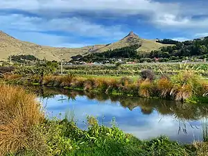 Ferrymead Park
