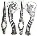 Colchic axis. Characteristic Ornaments