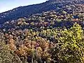 Forêt Tartagine-Melaja