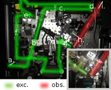 Optical path of a lattice light sheet microscope