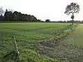 View of field in Olland where remains of Roman settlements were found
