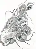 Pierres de Chablis, silverpoint, silver leaf, watercolour, Jeannine Cook