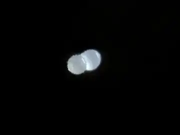 Two pollen grains overlapped