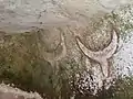 Bull's horns, necropolis of Su Crucifissu Mannu, Porto Torres
