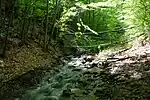 River Povlen, Middle Povlen