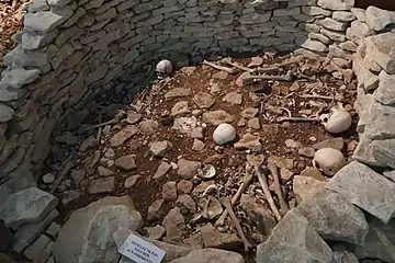 Skull having been trephined three times, corridor of tumulus A, upper level, 4th millennium.