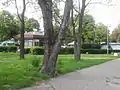 Rosalie Morton Park