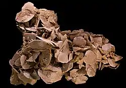 Image 70Desert rose, by Didier Descouens (from Wikipedia:Featured pictures/Sciences/Geology)