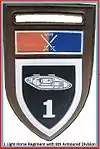 SADF 8 South African Armoured Division 1 Light Horse Regiment Flash