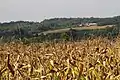 Sanković - panorama