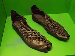 The carbatina of the bog body Damendorf Man (c. 300 BC)