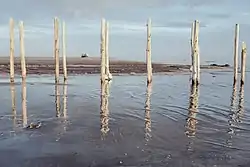 Remnants of a dilapidated dock, Sharafkhaneh port