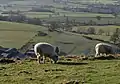 View from Nibley Knoll