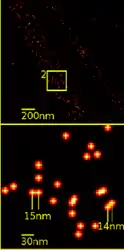 Super-resolution microscopy: Single YFP molecule detection in a human cancer cell. Typical distance measurements in the 15&nbsp;nm range measured with a Vertico-SMI/SPDMphymod microscope