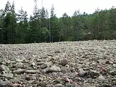 Rubble polished by waves before the post-glacial rebound lifted it out of the water.