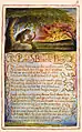 Songs of Innocence and of Experience, copy AA, 1826 (The Fitzwilliam Museum) object 9 The Little Black Boy