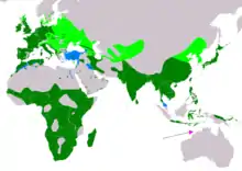 alt=Global range
&nbsp; breeding 
&nbsp; resident 
&nbsp; non-breeding 
&nbsp; vagrant (seasonality uncertain)