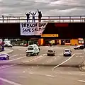 Activists for wild salmon conservation (Idaho, 2021)