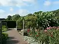 Sensory Garden