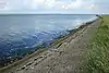 The Swale