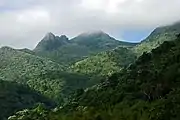 View from Yokahú observation tower