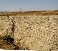 This photo shows another canyon cut into the surrounding flat soil with about 30 distinct horizontal layers of sediment, each clearly demarked from the layer below. Above the canyon a telephone pole can be seen in the distance – the pole provides the perspective that helps the viewer establish that the cut is 30–40 ft (9.1–12.2 m) deep. In the foreground one observes the near edge of the canyon, which help one establish that the canyon is quite narrow and steep walled.