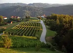 Trščina, lower part(August&nbsp;2016)