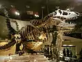 Tyrannosaurus rex