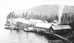 Waterfall in 1910