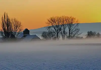 Ground fog  (January 2020)