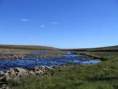 Río