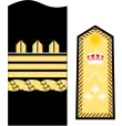 Divisa de teniente general (Infantería de Marina)