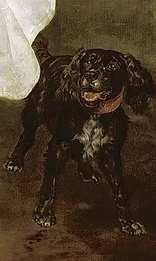 El perro a los pies del caballo.