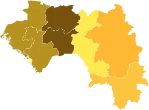 Elecciones presidenciales de Guinea de 2010