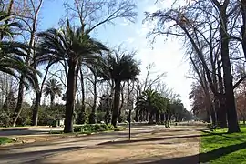 Avenida Las Palmeras
