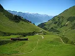 Tren de vapor ( Brienzer Rothorn Bahn ) en el Planalp cerca de Mittler Stafel