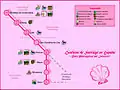 Croquis del Camino de Santiago Portuguës: Ruta por el interior