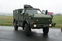 Dingo austríaco 2 NC