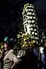 Romerías de la Virgen de A Franqueira