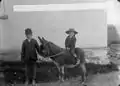 Un chico con un burro, Pembroke 1885