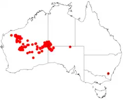 Occurrence data from AVH