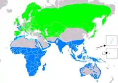 alt=Distribución de Actitis hypoleucos
Área de cría. Área de invernada. Área de migración. Área de invernada supuesta. Área de migración supuesta.