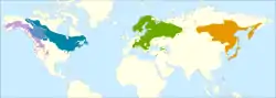 Mapa de distribución de las subespecies
: Alnus incana tenuifolia
: Alnus incana rugosa.
: Alnus incana incana.
: Alnus incana hirsuta.