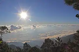 Clima subhumedo de montañaPico Celaque
