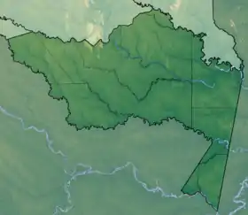 Isla Ronda ubicada en Amazonas (Colombia)