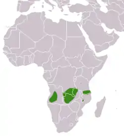Distribución de la jineta de Angola