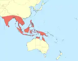 Distribución del género Archibasis