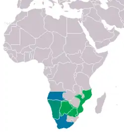 &nbsp;&nbsp;&nbsp;&nbsp;&nbsp;A. lubricus&nbsp;&nbsp;&nbsp;&nbsp;&nbsp;A. scutatus